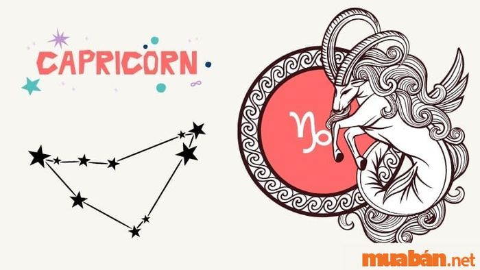 Tình yêu của Ma Kết nam