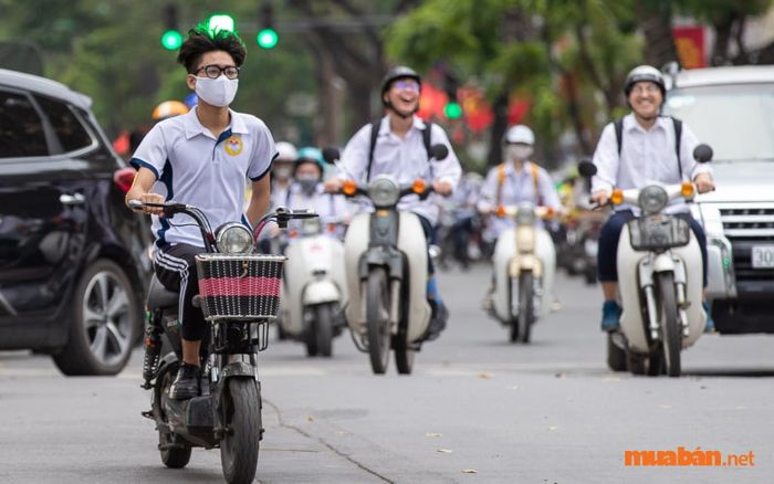 Để thi bằng lái xe, bạn cần đủ bao nhiêu tuổi?