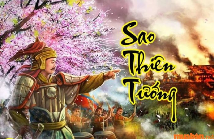 Sao Thiên Tướng trong cung Điền Trạch