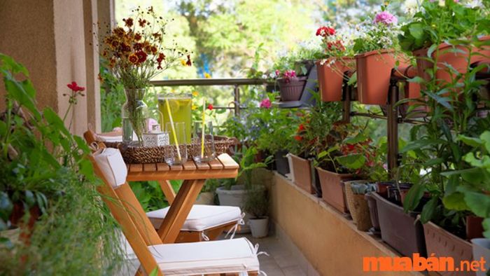 Ban công hướng Đông mang đến nhiều lợi ích
