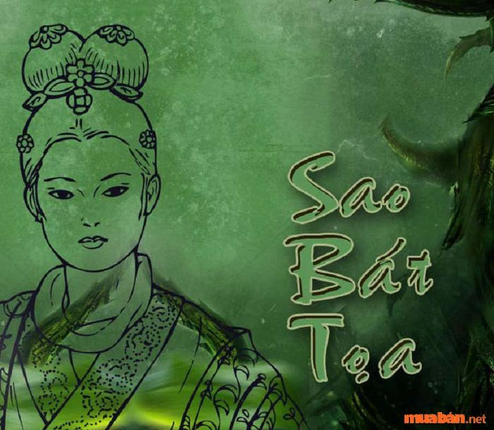 Khi sao Bát Tọa và Tam Thai kết hợp cùng Mộ tinh, chủ mệnh sẽ nhận được sự bảo vệ và may mắn lớn lao.