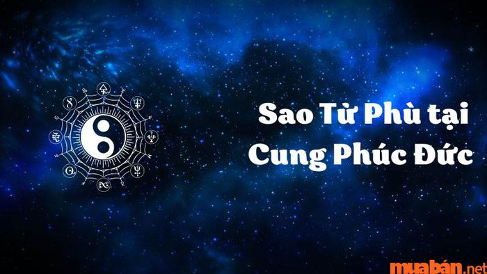 Cung Phúc Đức