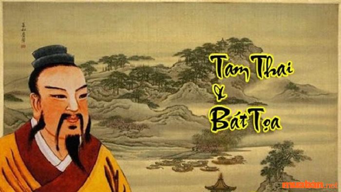 Sao Bát Tọa - Tam Thai tiết lộ nhiều bí mật về cuộc đời bạn