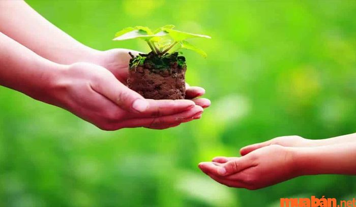 Người tu luyện âm binh cần làm việc thiện để có thể chuộc lại nghiệp quả và tích đức.