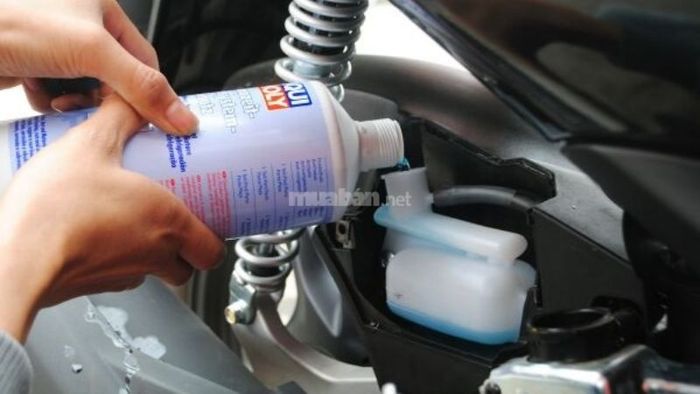 Nước mát Liqui Moly xanh pha 1:1