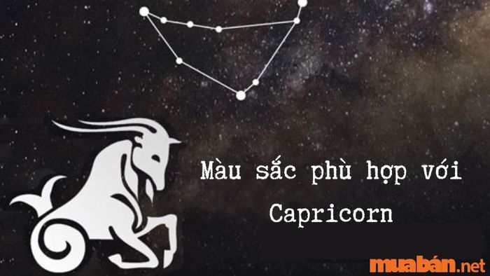 Những màu sắc phù hợp với Capricorn