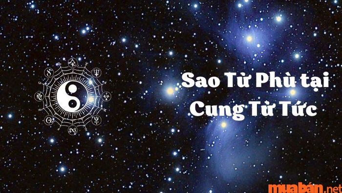 Cung Tử Tức