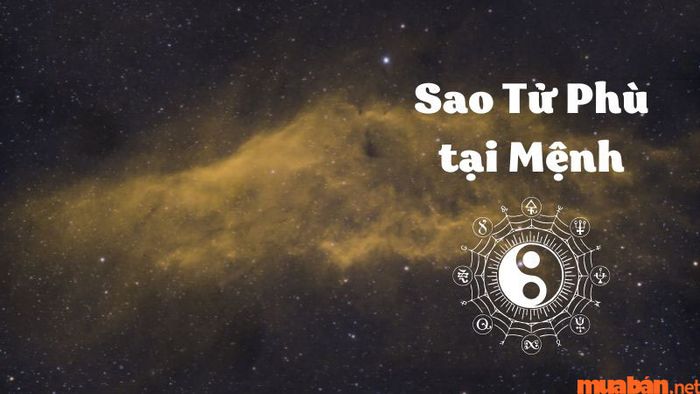 Tính cách của người mang sao Tử Phù tại cung Mệnh