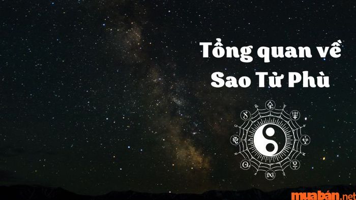 Tổng quan về sao Tử Phù
