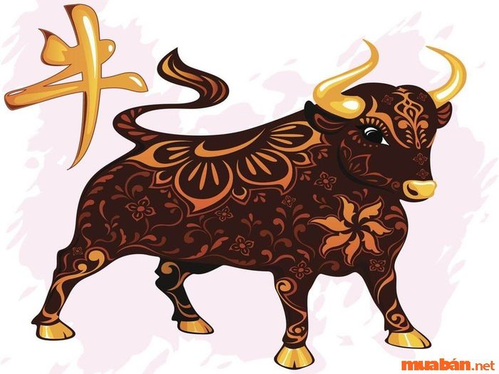 Tuổi hợp với người sinh năm 1985
