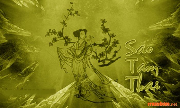 Sao Bát Tọa được coi là một trong những Cát Tinh mạnh mẽ