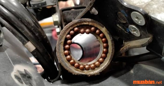 Bạc đề và bi cổ góp bị kêu