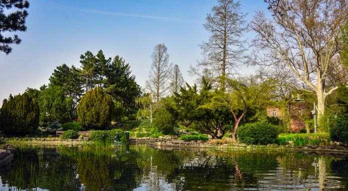 The Japanese Gardens offer a peaceful and picturesque escape.