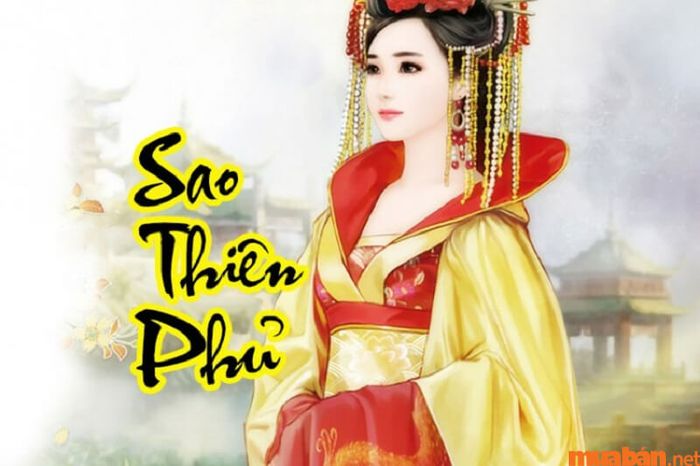 Sao Thiên Phủ