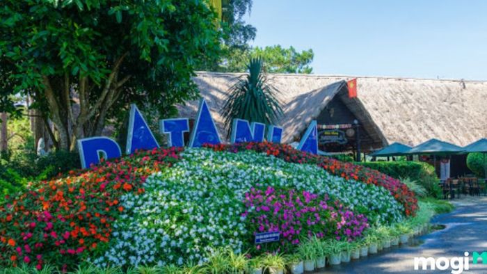 Thác Datanla Đà Lạt: Điểm Đến Không Thể Bỏ Lỡ