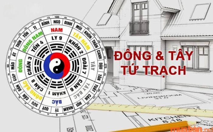 Nhà hướng Đông Bắc hợp với tuổi nào, xem xét theo Cung Phi và năm sinh.