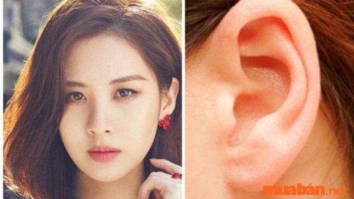 đặc điểm của tướng tai giàu có