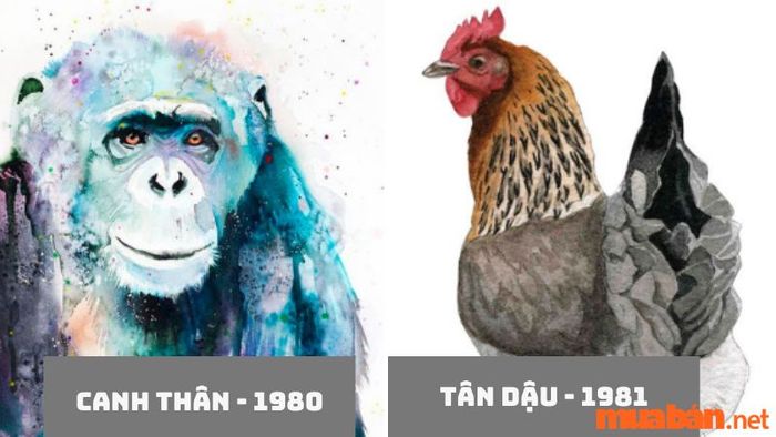 Canh Thân và Tân Dậu