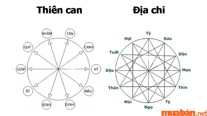Khám phá khái niệm Thiên Can