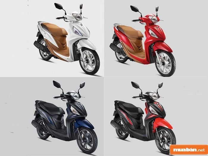 Xe tay ga đã qua sử dụng