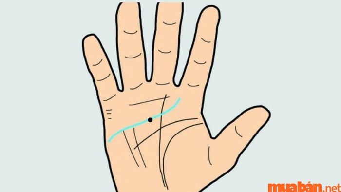 Nốt ruồi phong thủy tại đường Tâm Đạo