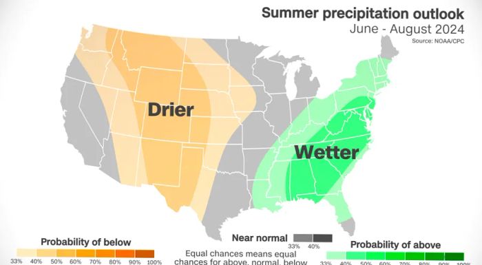 Dinogo digital season precip outlook white summer 042324.png