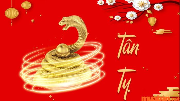 Tuổi Tân Tỵ nên kết hợp với tuổi nào?