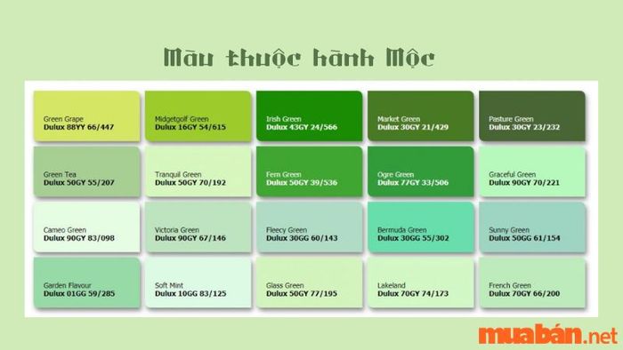 Mã màu sơn thuộc hành Mộc