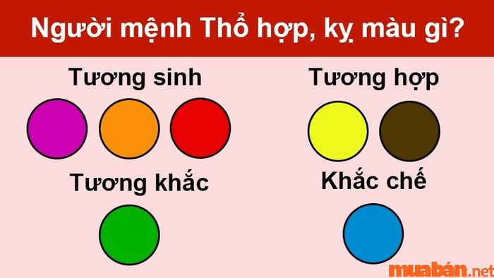 Người mệnh Thổ hợp với các màu vàng, nâu và nâu vàng