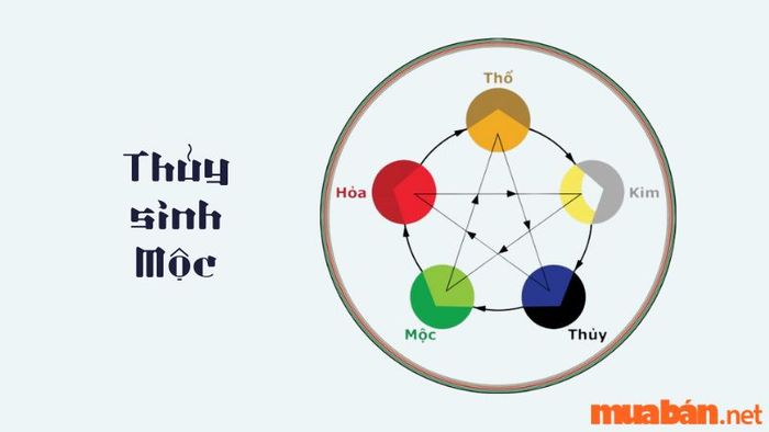 Thủy sinh Mộc