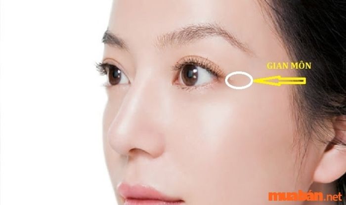 Gian môn là một vị trí quan trọng trong nhân tướng học, mang nhiều ý nghĩa về tình duyên và hôn nhân.