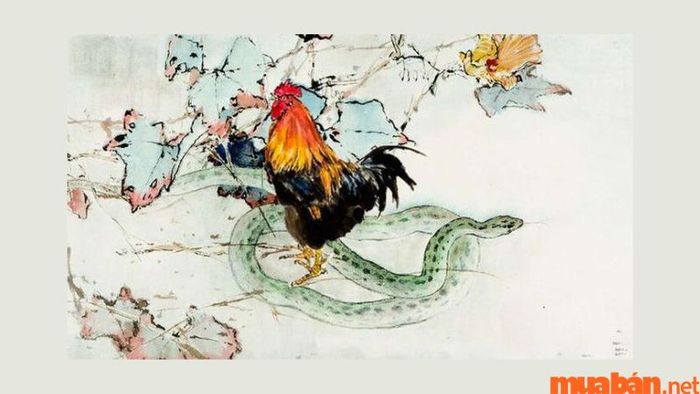 Liệu tuổi Tỵ và tuổi Dậu có thực sự hợp nhau?
