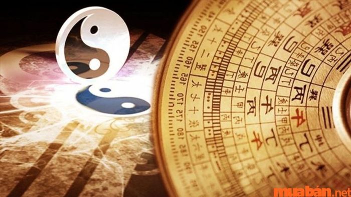 Khám phá nguồn gốc và ứng dụng của Thiên Can