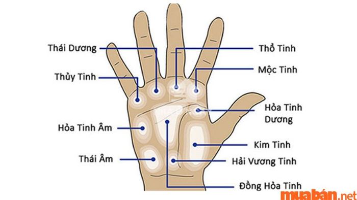 Nốt ruồi phong thủy ở tay: Những bí ẩn cần khám phá