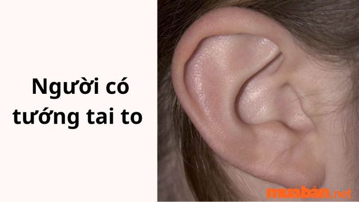 tướng tai mang lại sự giàu có