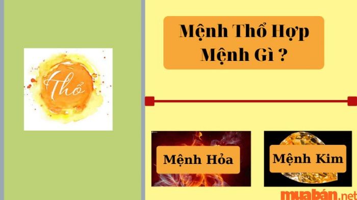 Mệnh Thổ tương sinh với mệnh Kim và mệnh Hỏa theo ngũ hành.