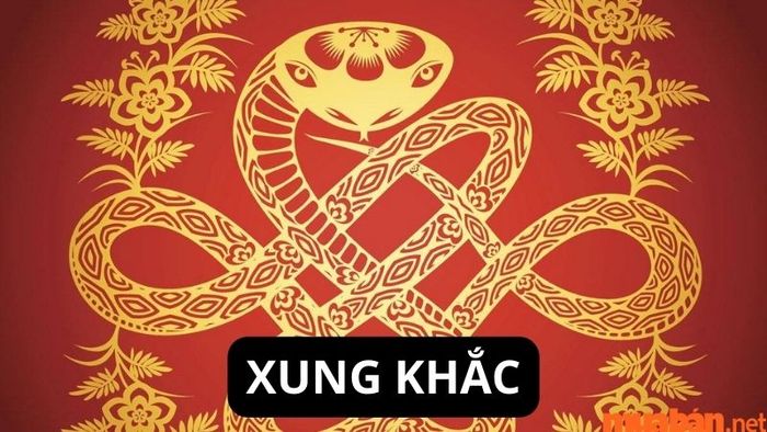 Các tuổi xung khắc với tuổi Tỵ