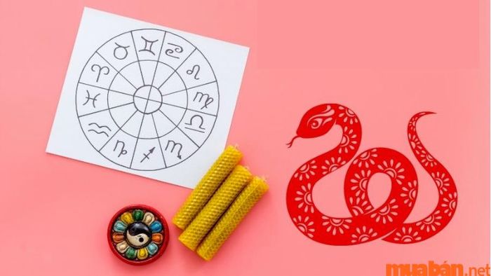 Khám phá tử vi của người tuổi Tỵ