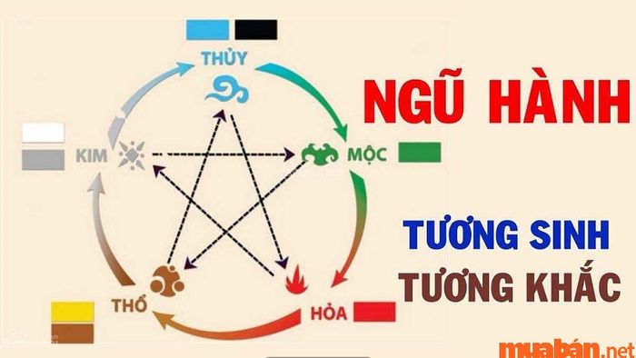 Thổ sinh ra yếu tố gì? Ứng dụng phong thủy trong thiết kế nhà ở