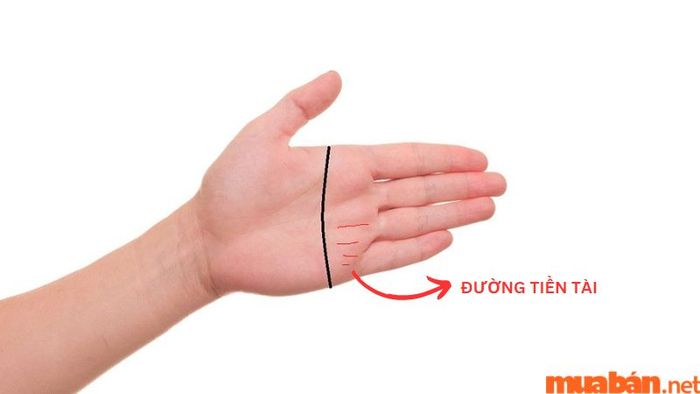 Đường tiền trên bàn tay