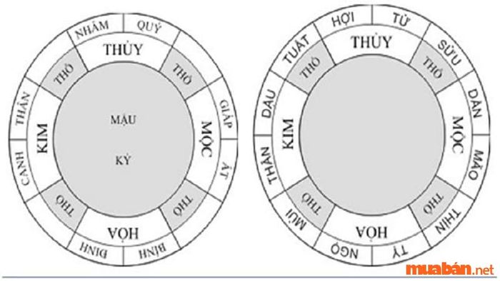Can Chi gồm có 10 Thiên Can và 12 Địa Chi.