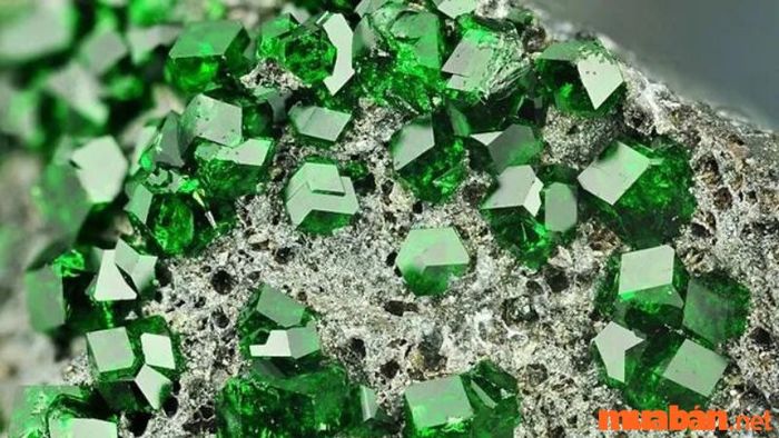 Ngọc Lục Bảo