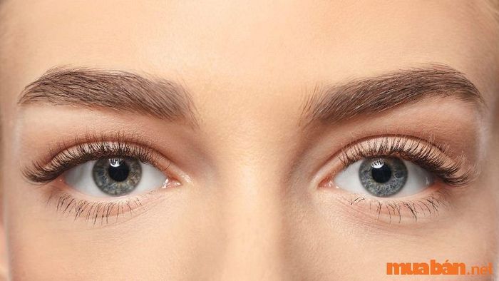 Ý nghĩa thẩm mỹ của mắt bồ câu
