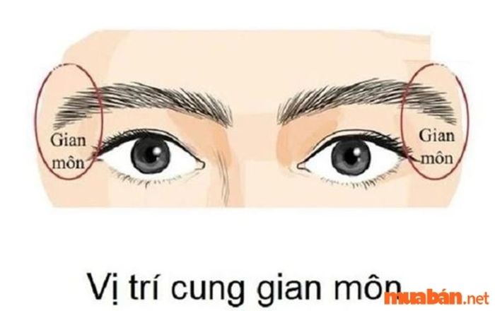 Gian môn là một khái niệm quan trọng trong nhân tướng học, phản ánh nhiều về cuộc sống và tính cách của một người.