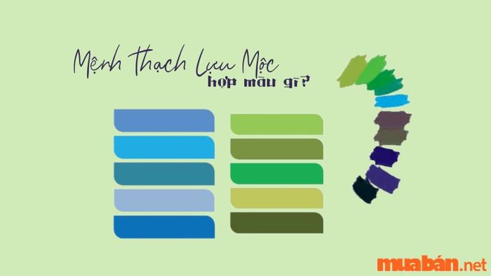 Mệnh Thạch Lựu Mộc hợp với màu gì?