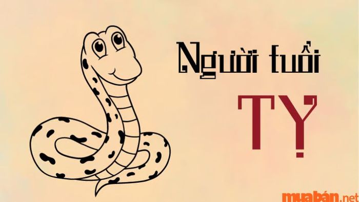Tính cách của người tuổi Tỵ như thế nào?