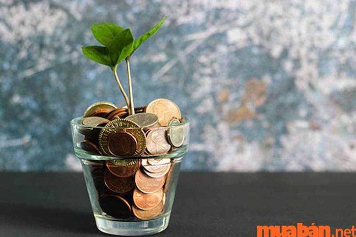 Quản trị tài chính là gì?