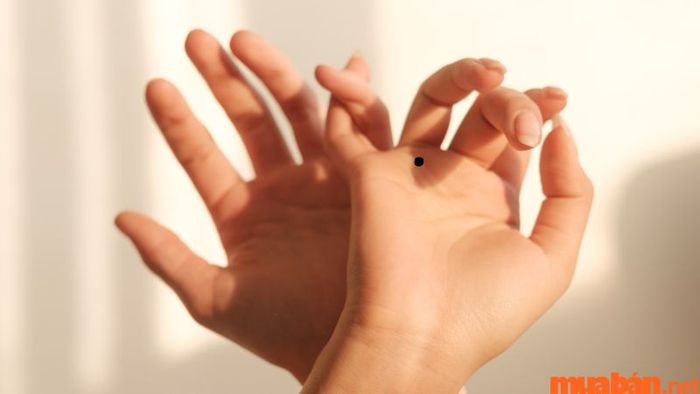Nốt ruồi tại gốc ngón áp út tượng trưng cho sự đam mê và sức hút trong tình cảm, giúp bạn dễ dàng có được sự quan tâm và yêu thương từ những người xung quanh.