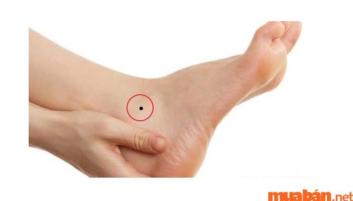 Nốt ruồi ở mắt cá chân là dấu hiệu của một cuộc sống không dễ dàng, người sở hữu nốt ruồi này sẽ gặp nhiều khó khăn trong sự nghiệp nhưng có tình duyên thuận lợi.
