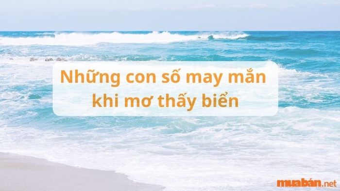 Khi mơ thấy biển, những con số liên quan có thể mang lại may mắn cho bạn. Những con số này có thể gắn liền với vận may trong cuộc sống và công việc của bạn.